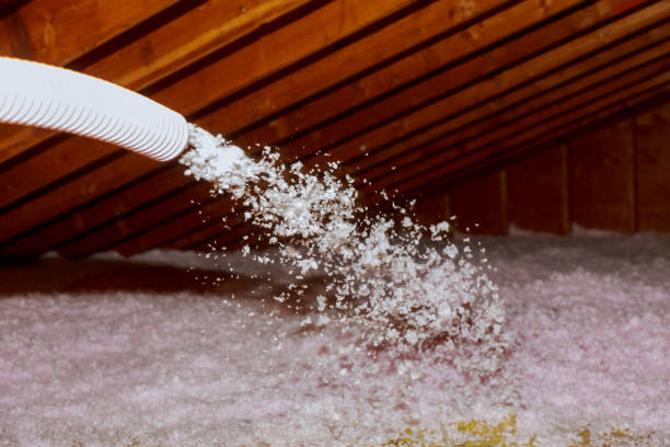 Best Home Insulation Services  in University Of Virginia, VA