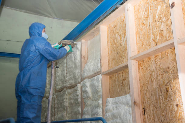 Best Energy-efficient Insulation  in University Of Virginia, VA