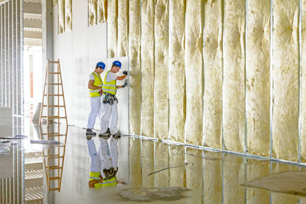 Best Wall Insulation Contractor  in University Of Virginia, VA
